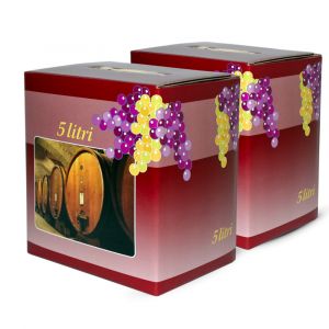 Confezione 2 Bag in Box Cabernet Sauvignon IGT Veneto 5 litri - Borgo Nardi