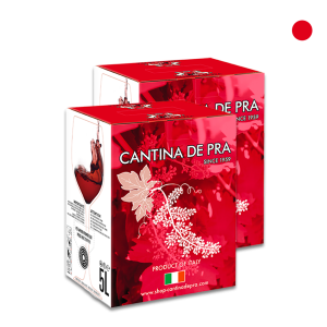 Confezione 2 Bag in Box Cabernet del Veneto Igt 5 Litri - Cantina De Pra