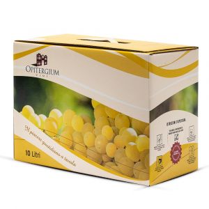 Confezione 1 Bag in Box Manzoni Bianco Igt Marca Trevigiana 10 Litri - Opitergium Vini