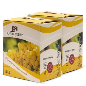 Confezione 2 Bag in Box Traminer 5 Litri - Opitergium Vini