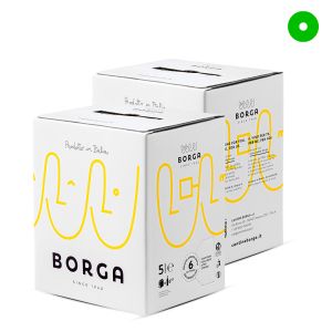 Confezione 2 Bag in Box Pinot Grigio Doc delle Venezie 5 Litri – Borga