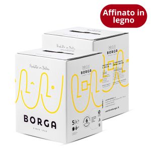 Confezione 2 Bag in Box Cabernet Igt Veneto 5 Litri – Borga