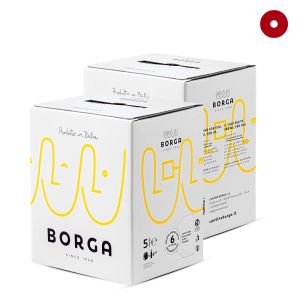 Confezione 2 Bag in Box Merlot Veneto Igt 5 Litri – Borga