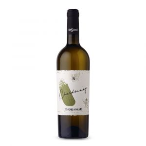 Chardonnay IGT Veneto - Bassanese