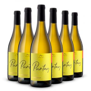 Confezione 6 Chardonnay Linea Puntay – Erste Neue