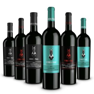 Confezione 6 bottiglie Vini Veneti – Scuderia Italia
