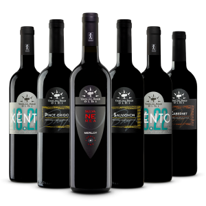 Confezione 6 bottiglie Degustazione Vini Fermi - Vigne del Bosco
