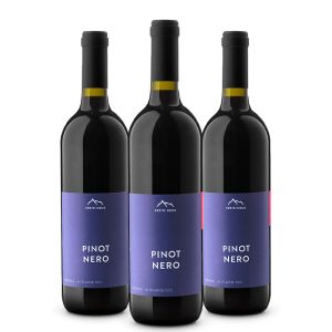 Confezione 3 Pinot Nero Linea Classica – Erste Neue