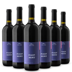 Confezione 6 Pinot Nero Linea Classica – Erste Neue