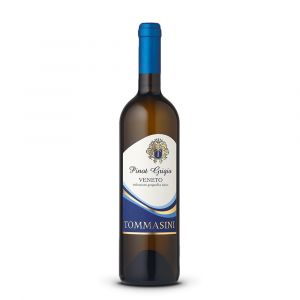 Pinot grigio Igt Veneto – Tommasini