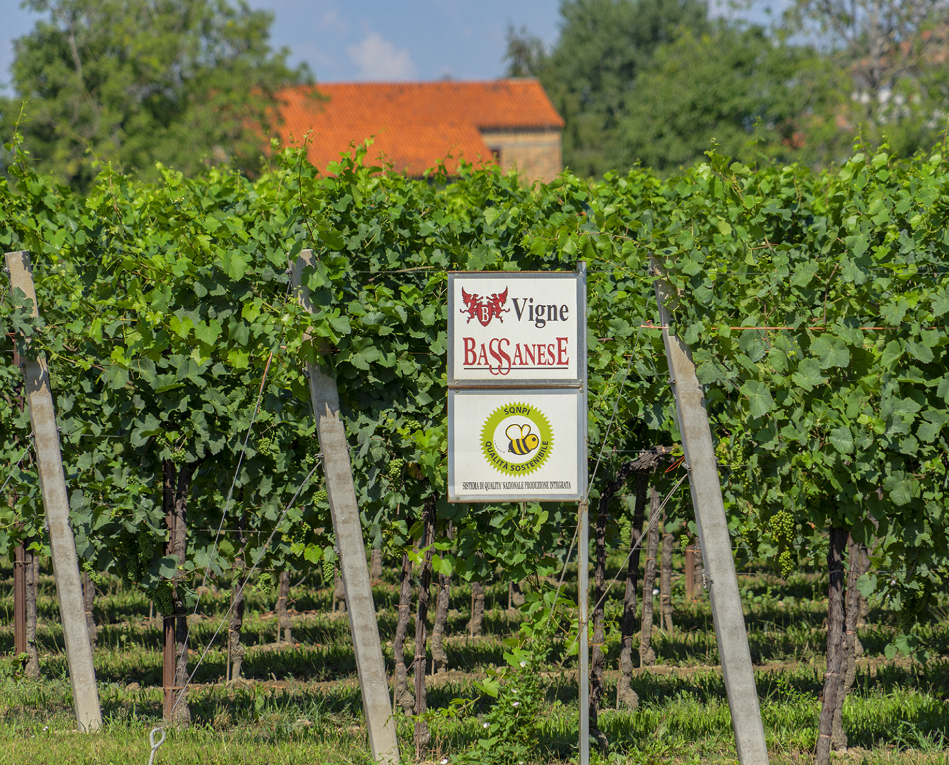 Our grapes and our wines are certified