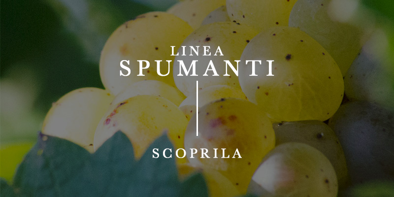Linea Spumanti
